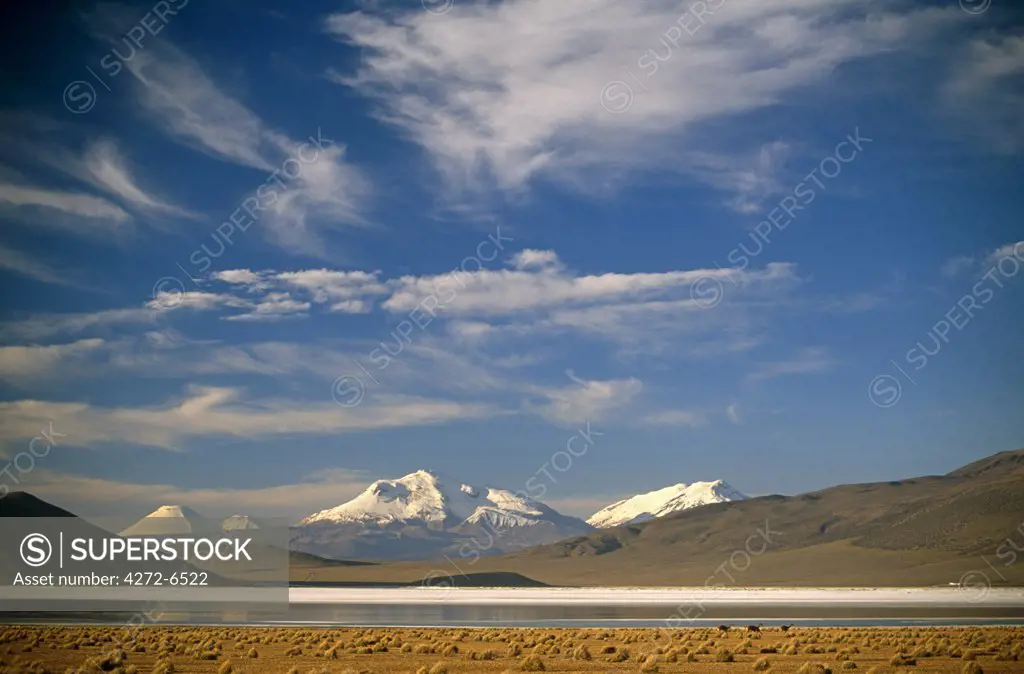 Chile, the salt flats of Salar de Surire. The area is home to migrating Flamingo, Vicuna, Alpaca & Llama.