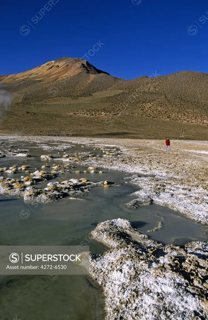 Hot springs near the salt flats of Salar de Surire, Chile.