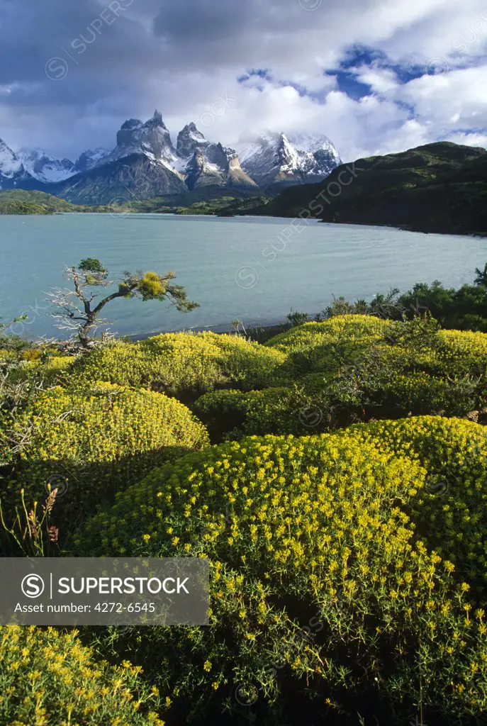 Chile, Torres del Paine National Park. The peaks of Los Cuernos seen across Lake Pehoe.