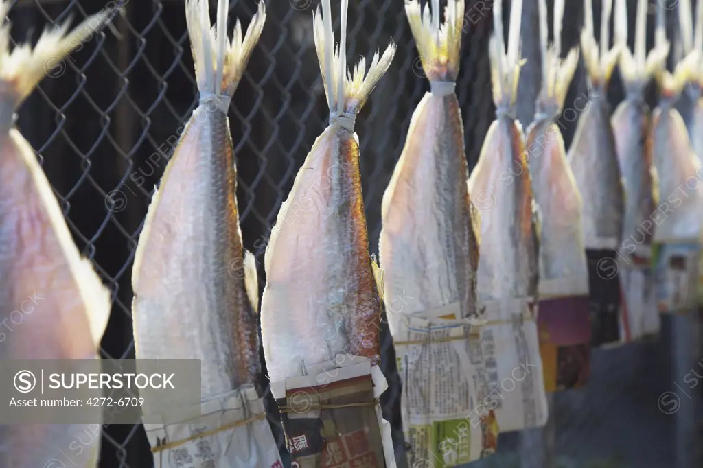 Dried fish hanging in fishing village, Ma Wan, Hong Kong, China