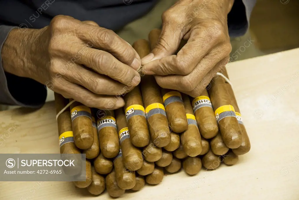 Cuba, Havana. Grading, sorting and packaging handmade cigars, The H.Upmann Cigar Factory, Havana, Cuba