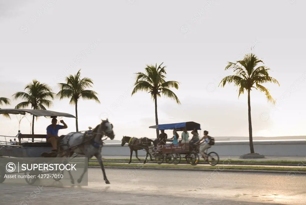 Cuba, Cienfuegos. Horse drawn taxis the Malecon, the road from central Cienfuegos to Punta Gorda