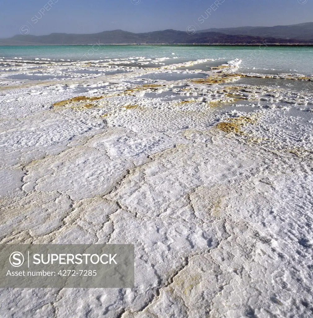 Pure salt crystallizes on the flats beside Lake Assal.  At 509 feet below sea level, Lake Assal is the lowest place in Africa. From time immemorial, nomadic Afar tribesmen have come here with their camels to collect salt from deposits that are at least 109 feet thick. Lake Assal is fed by seawater from fissures deep underground