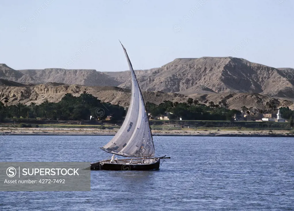 A felucca crosses the Nile under sail. Feluccas are the wooden sailing ships of Egypt and The Sudan, which are used for ferrying people, livestock and other goods across the River Nile. The larger boats have huge rudders.