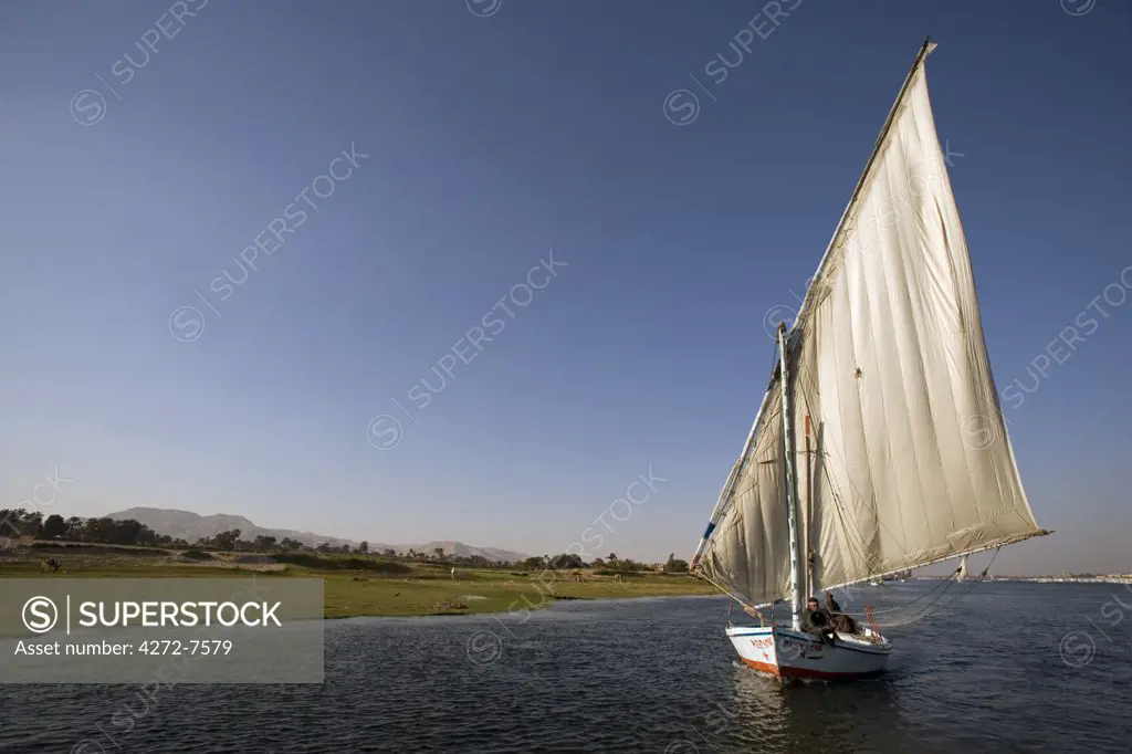 Feluccas sailing on the Nile at Luxor, Egypt