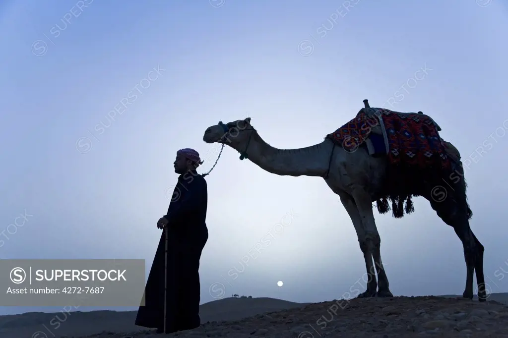 A bedouin leads his camel along the top a dune at sunset, Giza, Egypt (MR).