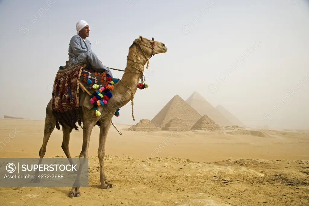 A camel driver stands in front of the pyramids at Giza, Egypt (MR).