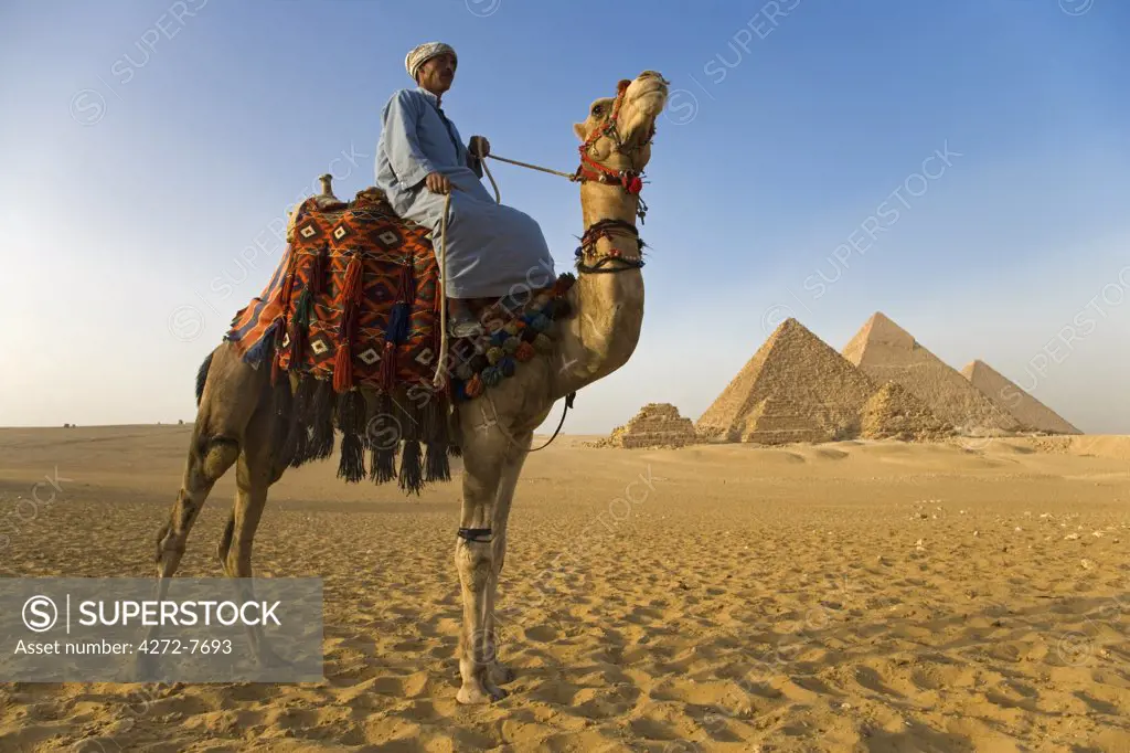 A camel driver stands in front of the pyramids at Giza, Egypt (MR).