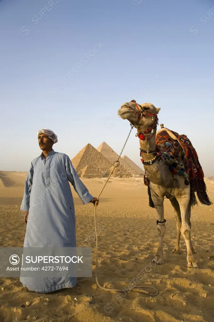 A camel driver stands in front of the pyramids at Giza, Egypt. (MR).