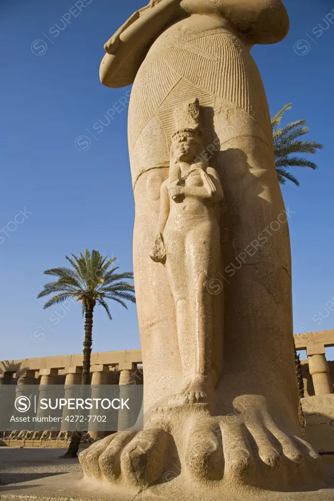 A colossal statue of Ramses II with his daughter Benta-anta at his feet stands in the Great Forecourt of Karnak Temple, Luxor, Egypt.