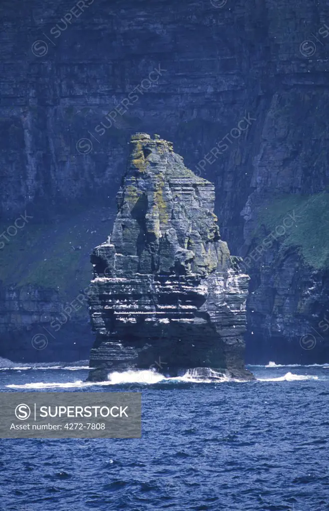 Sea stack at the base of the Cliffs of Moher provides a perfect protected nesting site for seabirds