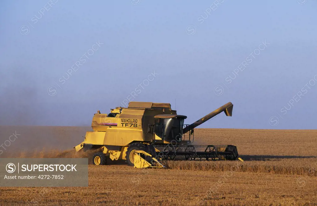 England, Lincolnshire, Walcot. Combine harvester harvesting wheat