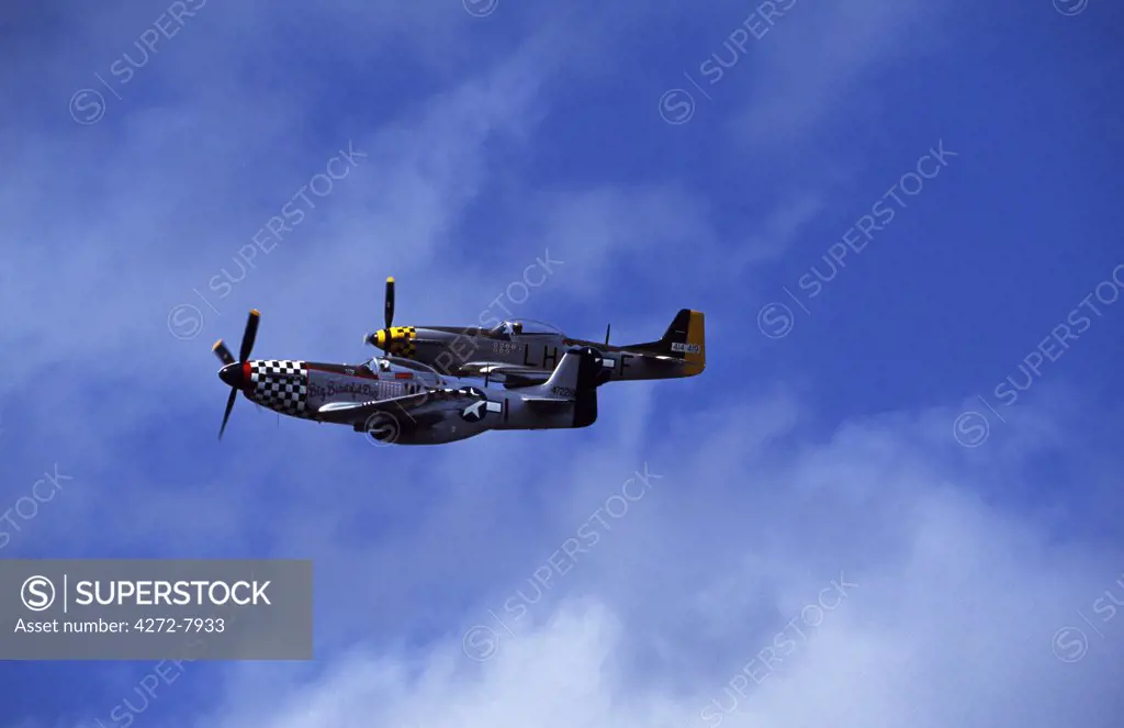 P51 Mustang WWII Fighter aircraft performing low level display at the Branscombe Air Show in South Devon.