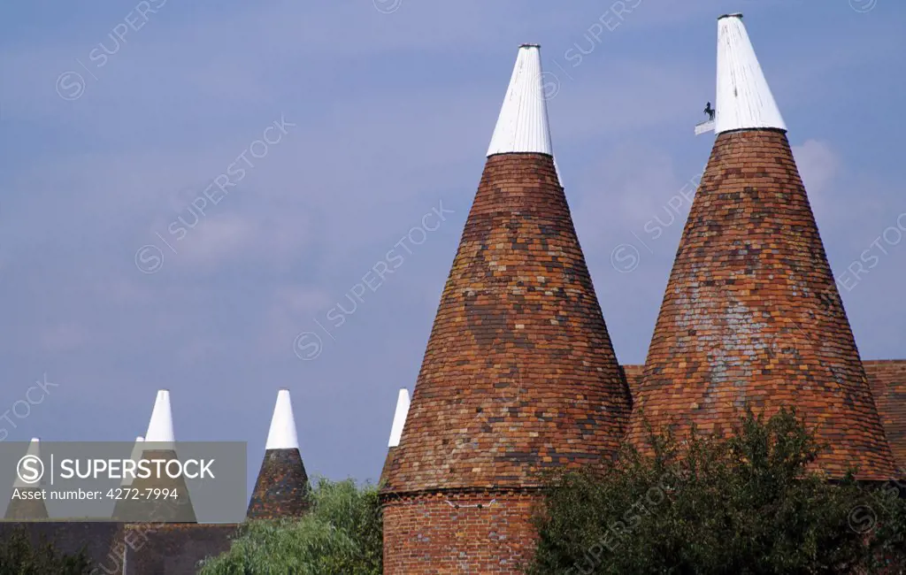 Oast houses in Kent, England