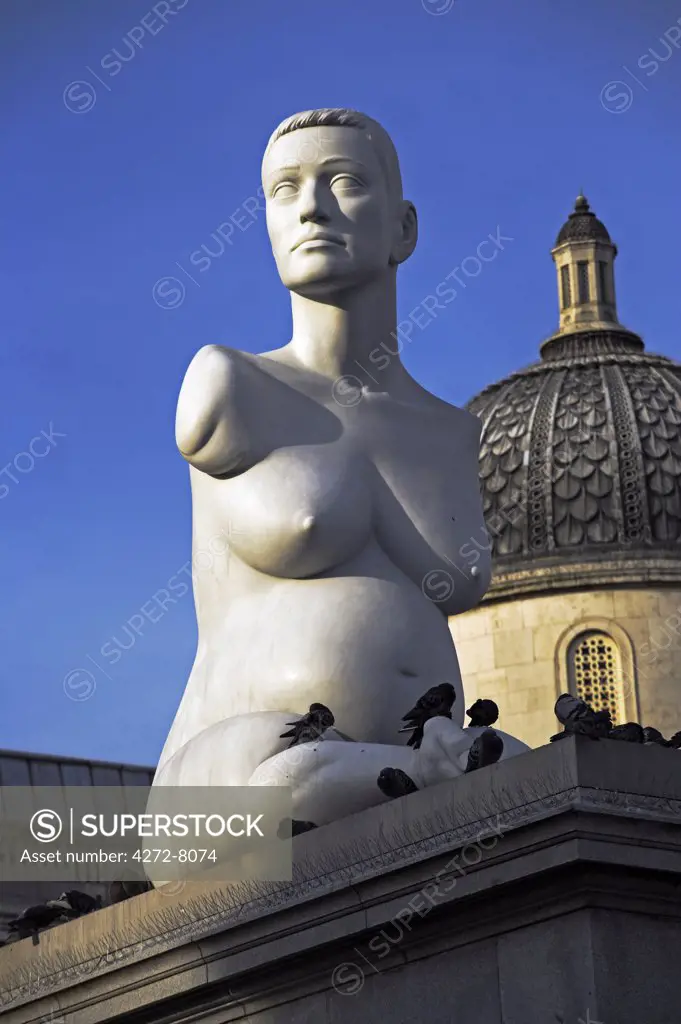 The controversial sculpture Alison Lapper Pregnant by Mark Quinn in Trafalgar Square, London. The fourth plinth, on the northwest corner of the square, was intended to hold a statue of William IV, but remained empty due to insufficient funds. Quinns Alison Lapper Pregnant is a 3.6m marble torso bust of Alison Lapper, an artist who was born with no arms and shortened legs due to a condition called phocomelia.