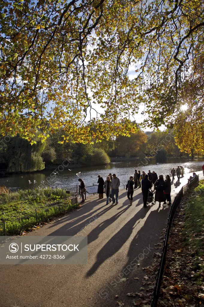 People enjoy an autumn walk in St James's Park in Autumn