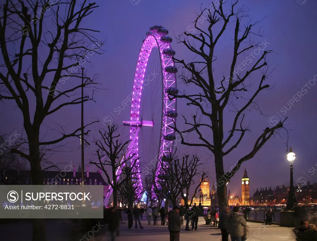 England, London, Jubilee Gardens. The London Eye also known as the Millennium Wheel.
