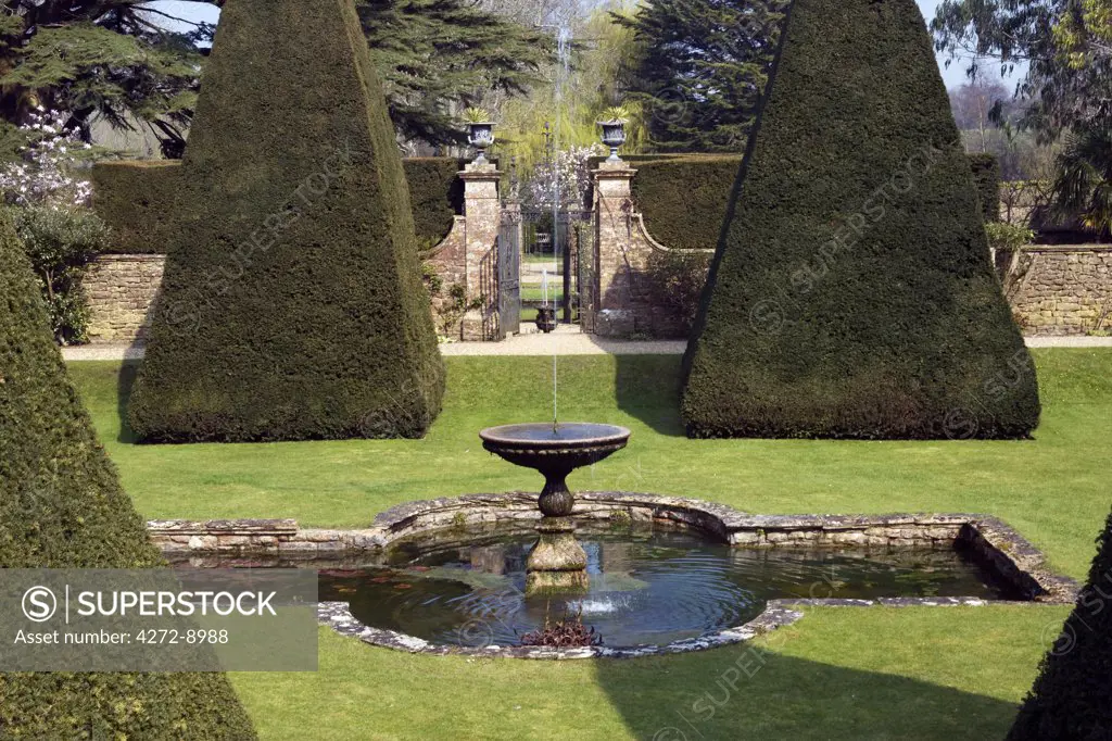 England, Dorset. Athelhampton House is one of the finest examples of 15th century domestic architecture in the country. Medieval in style predominantly and surrounded by walls, water features and secluded courts.  Here the topiary of the Great Court is a masterpiece of Francis Inigo Thomas.