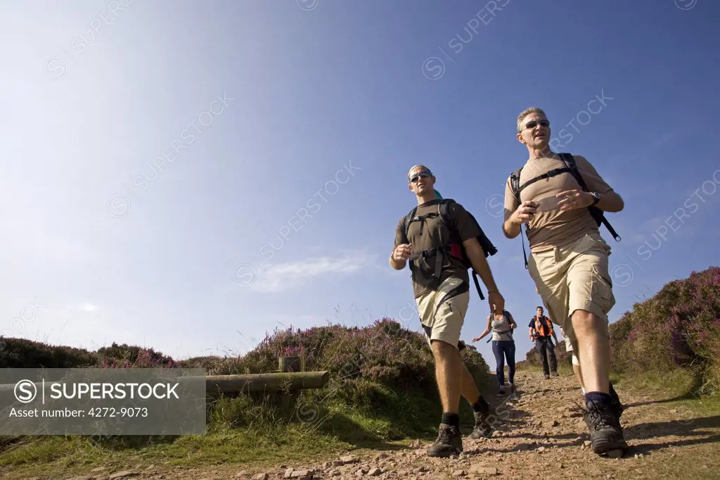 England, Somerset, Exmoor. Walkers on the footpath 'Dunkery Beacon' in the centre of the Exmoor National Park.