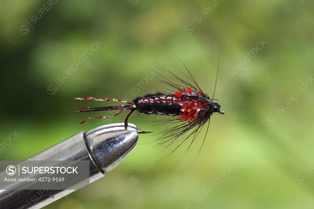 UK.  A trout fishing fly simulating a nymph secured in a fly-tying vice.