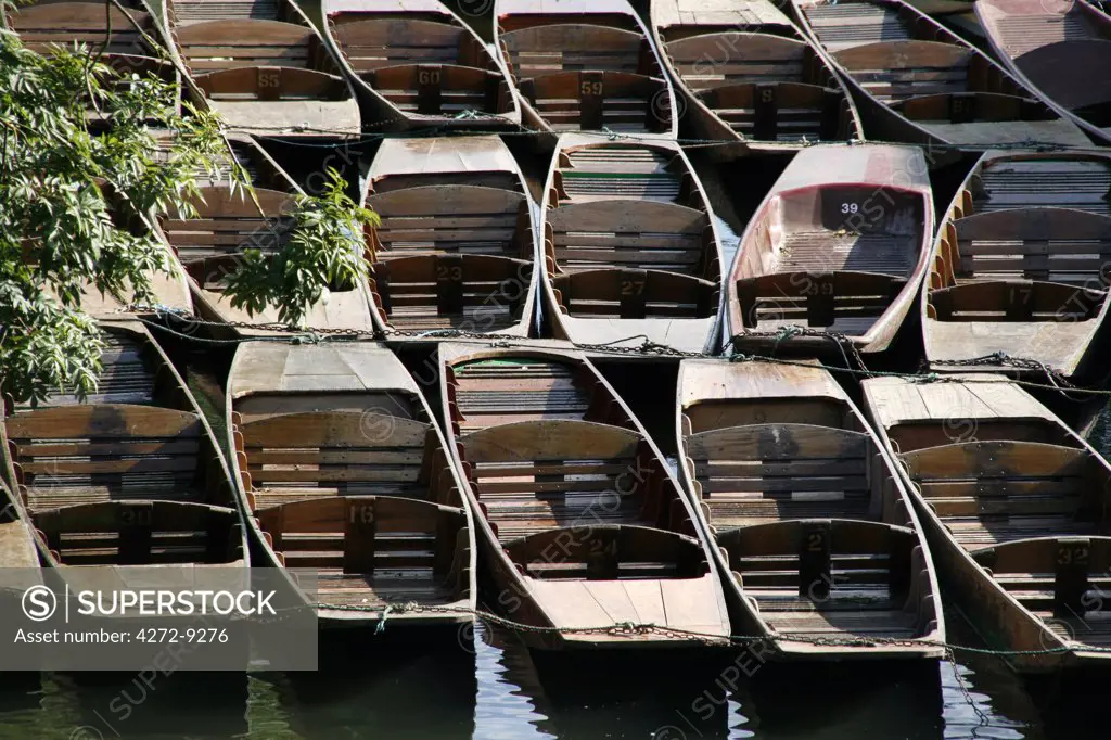 UK, England, Oxford. Punts on the River Cherwell in Oxford.