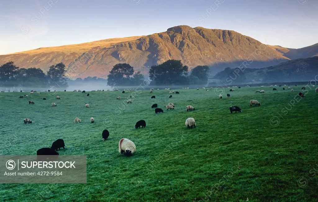 England, Cumbria, View of the Fells at Wasdale Head, Wastwater