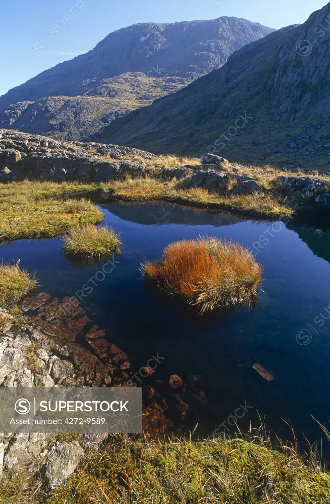 England, Cumbria, small tarn above Wasdale Head, Wastwater