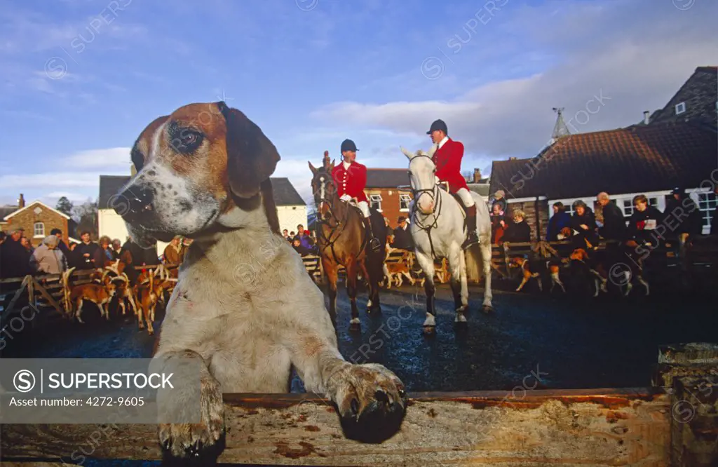 The Boxing Day Hunt gathers in Easingwold, North Yorkshire