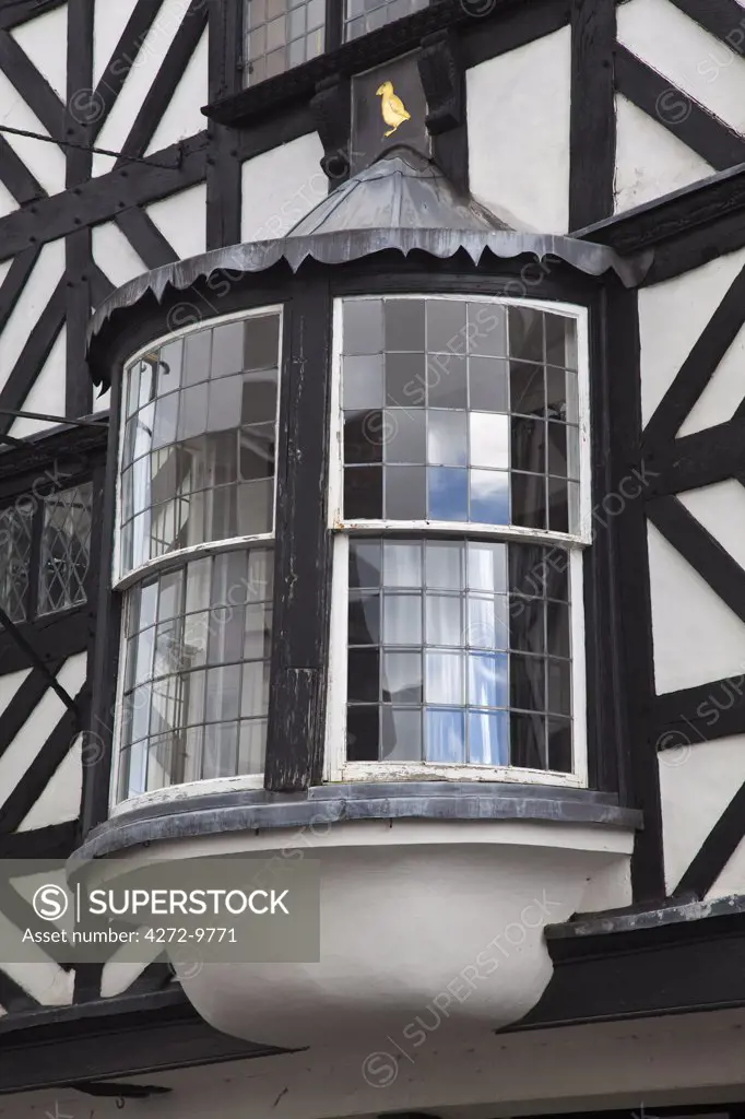 England, Shropshire, Ludlow.  A bay window in an ancient half-timbered house, in the market town of Ludlow.