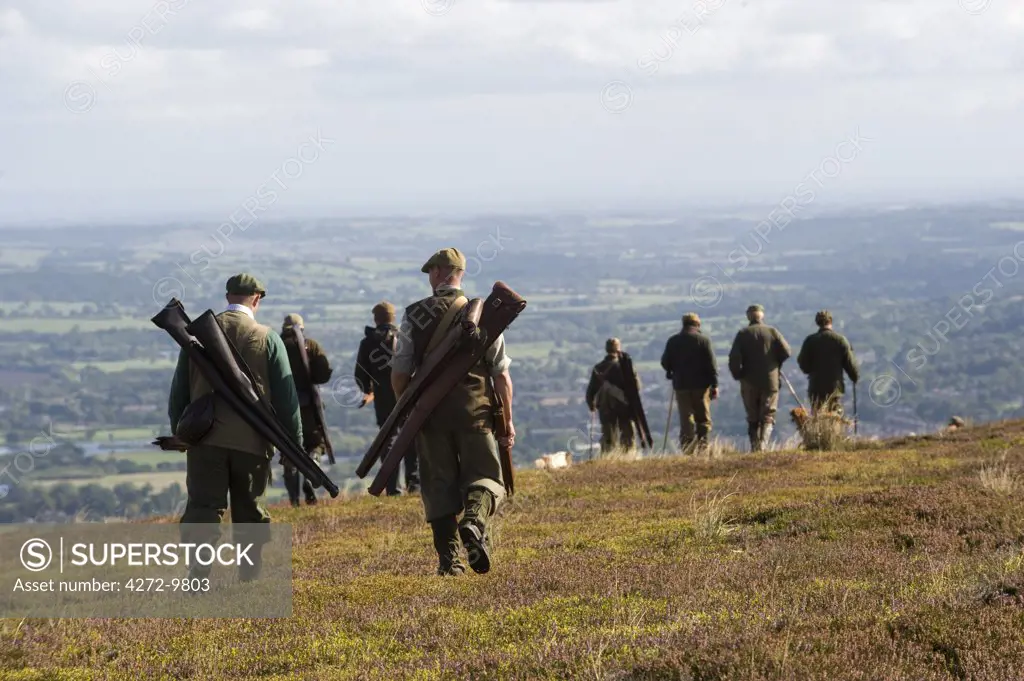 UK; Yorkshire.  Guns and loaders out grouse shooting on Bingley Moor.
