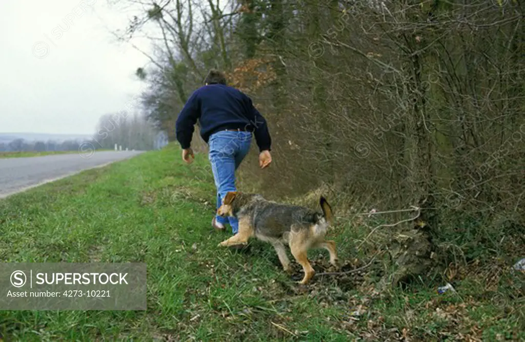 Man Abandons His Dog On Road Side