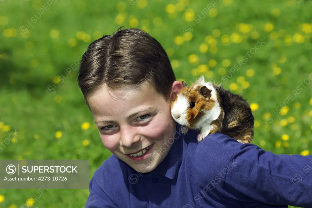 Boy With Guinea-Pig, Cavia Porcellus