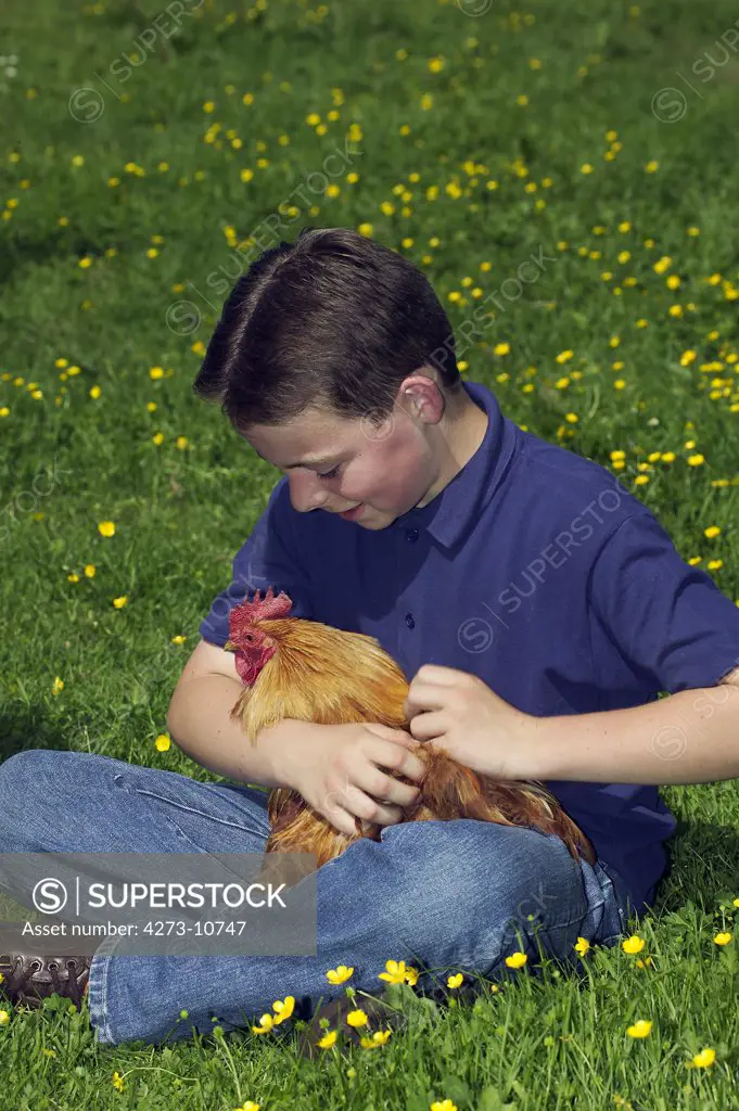 Boy With A Cockerel In His Arms
