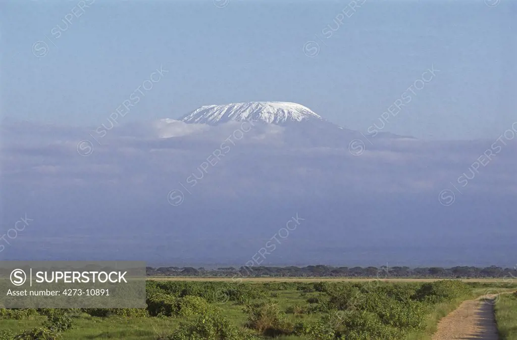 Savannah With Kilimandjaro Mountain, Tanzania