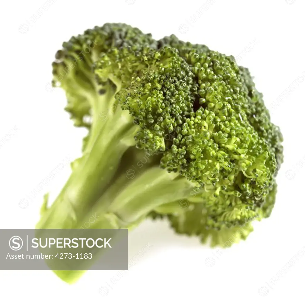 Broccoli Cabbage Against White Background
