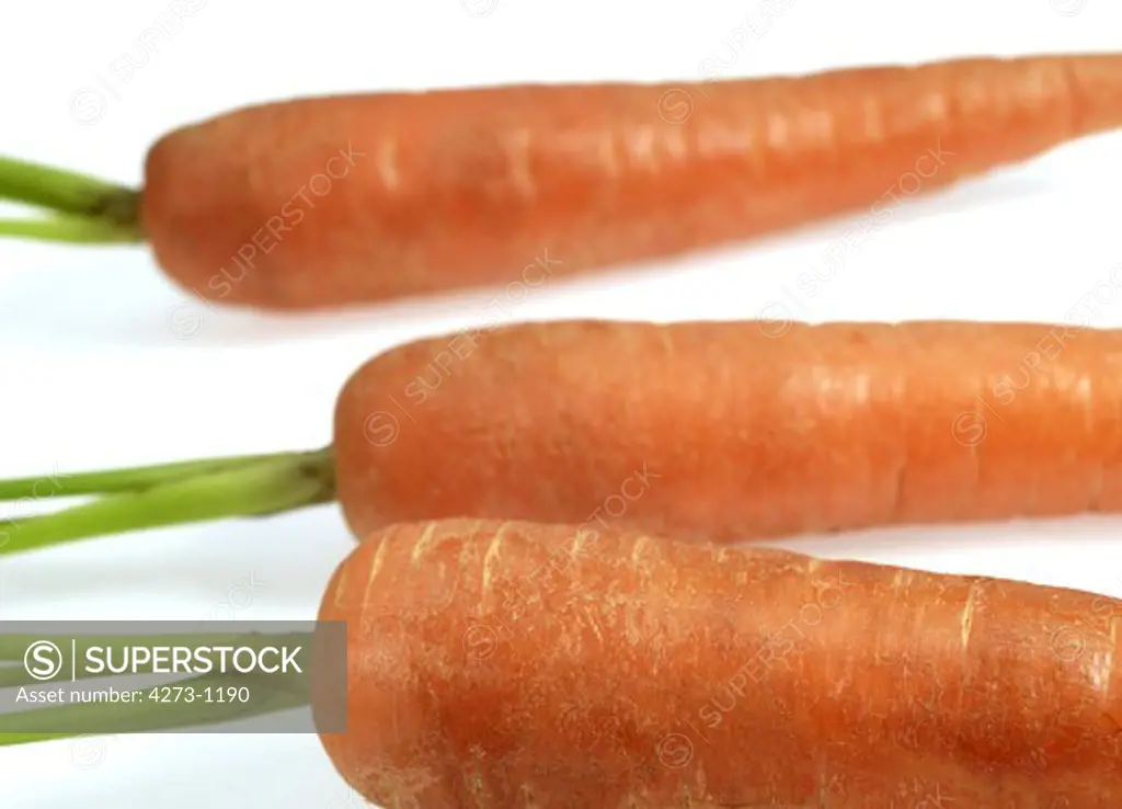 Carrots Daucus Carota Against White Background