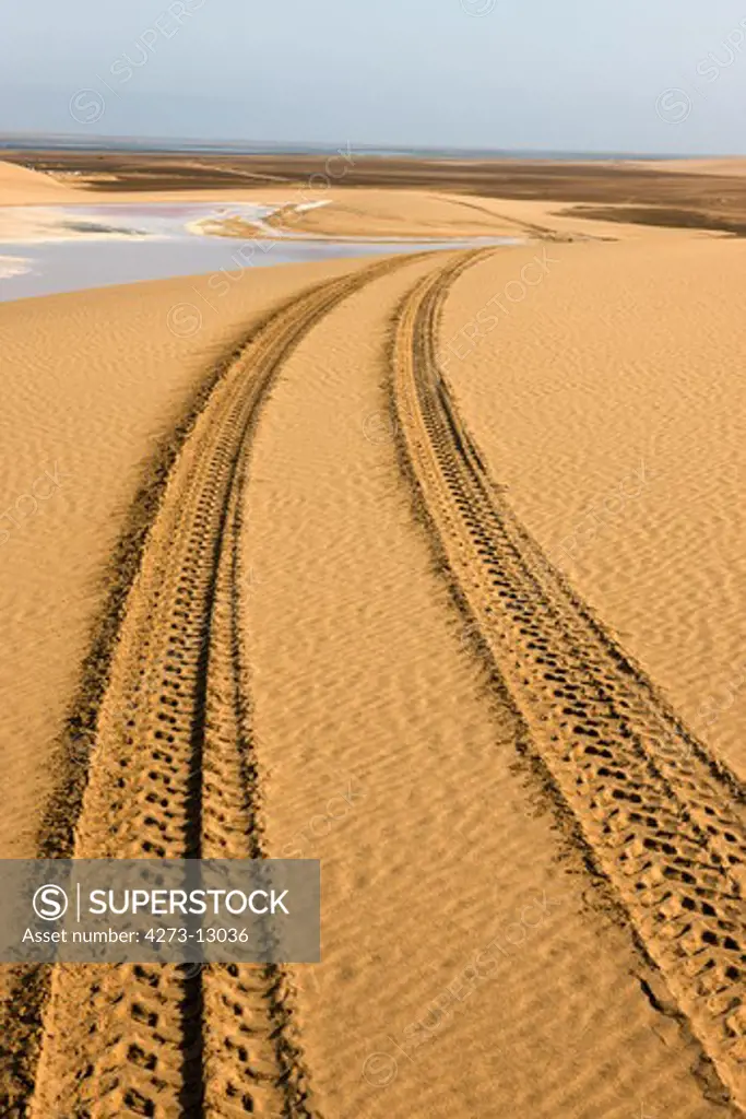 Wheel Tracks In Desert Near Walvis Bay, Namibia