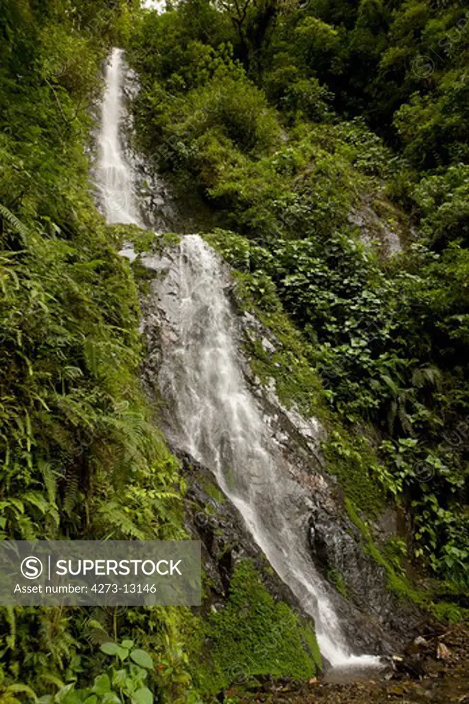 Tropical Forest And Waterfalls In Manu National Park, Peru