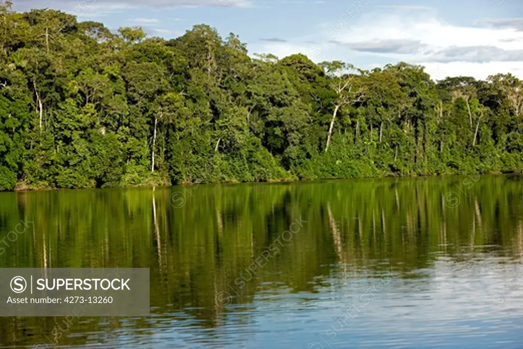Madre De Dios River, Manu National Park In Peru