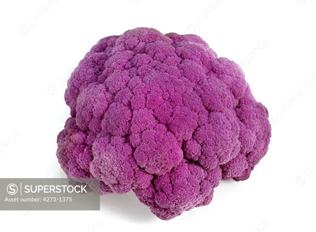 Purple Cauliflower Against White Background