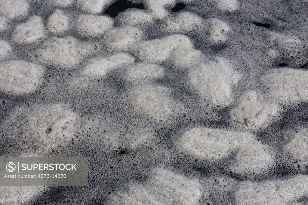 Foam At False Bay In South Africa