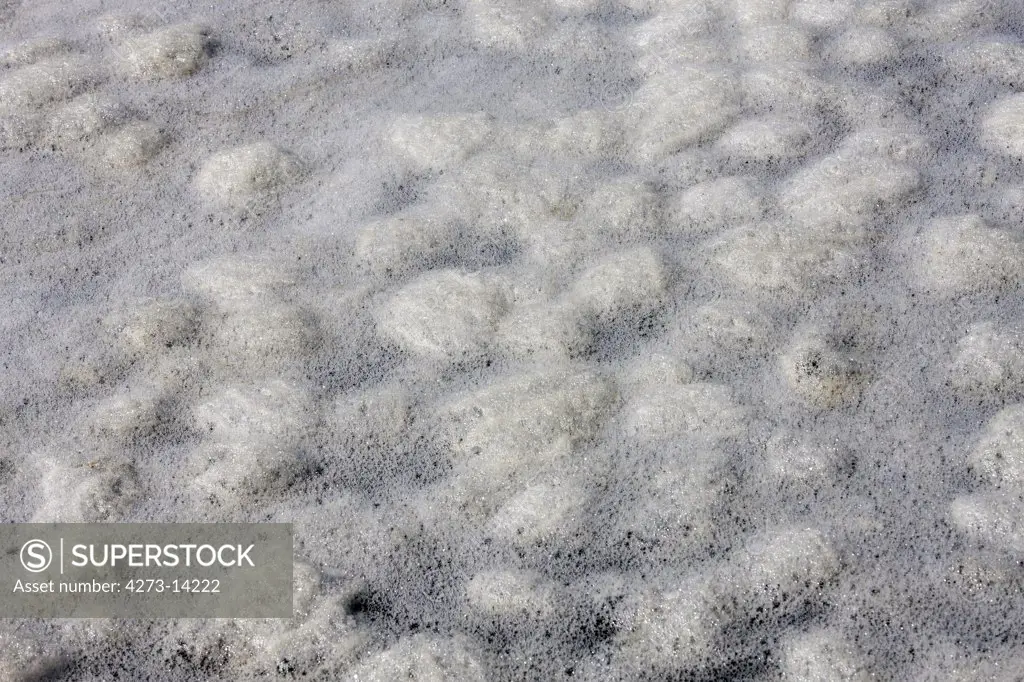 Sea Foam, False Bay In South Africa
