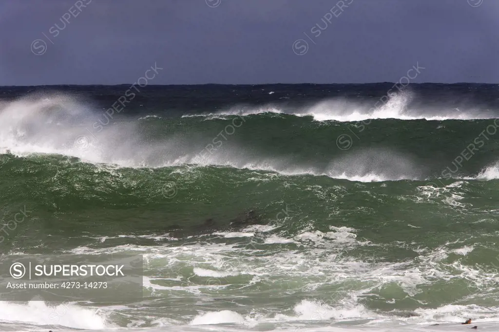 Waves, Coast At Hermanus In South Africa