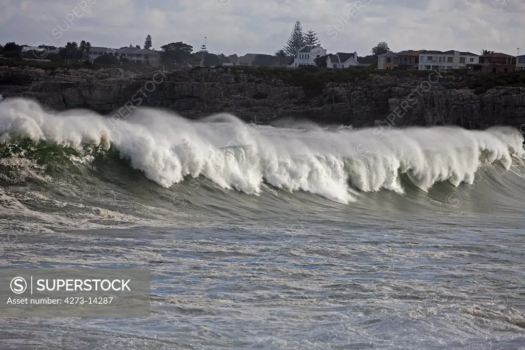 Waves, Coast At Hermanus In South Africa