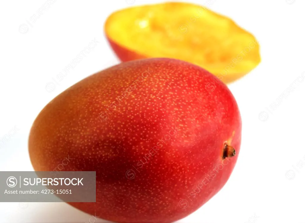 Mango, mangifera indica, Fruits against White Background