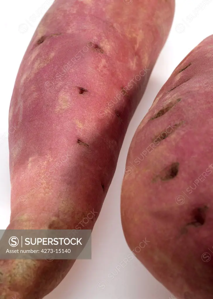 Sweet Potato, ipomoea batatas, Vegetable against White Backgrond