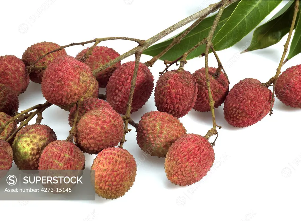 Litchi or Litchee, litchi sinensis, Exotic Fruits against White Background