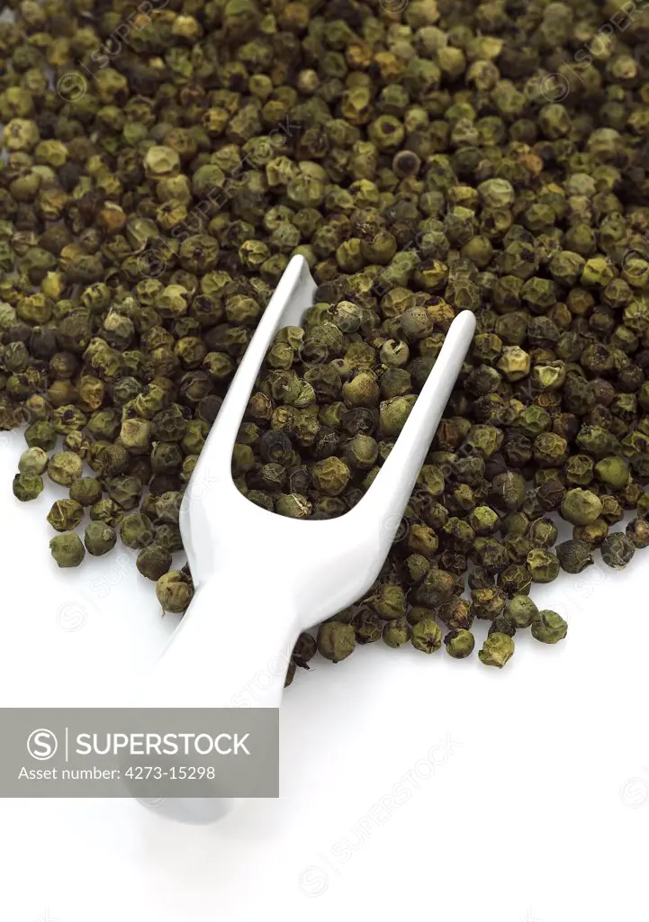 Green Peppercorn, piper nignum, Green Berries against White Background