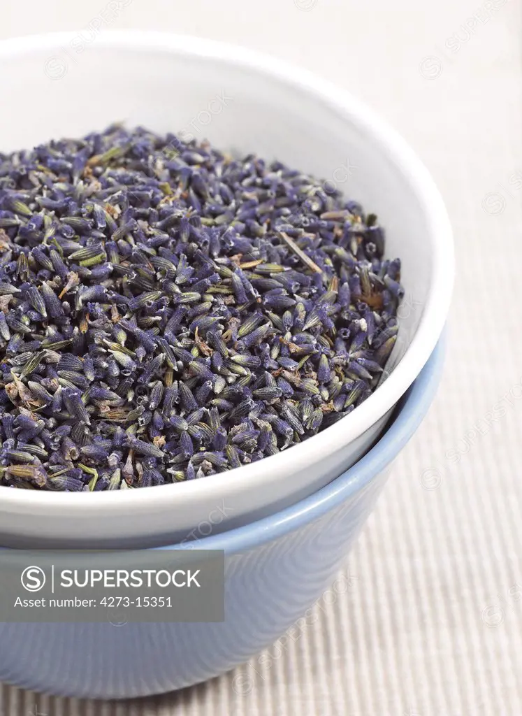 Lavender, lavandula sp, Dry Seeds
