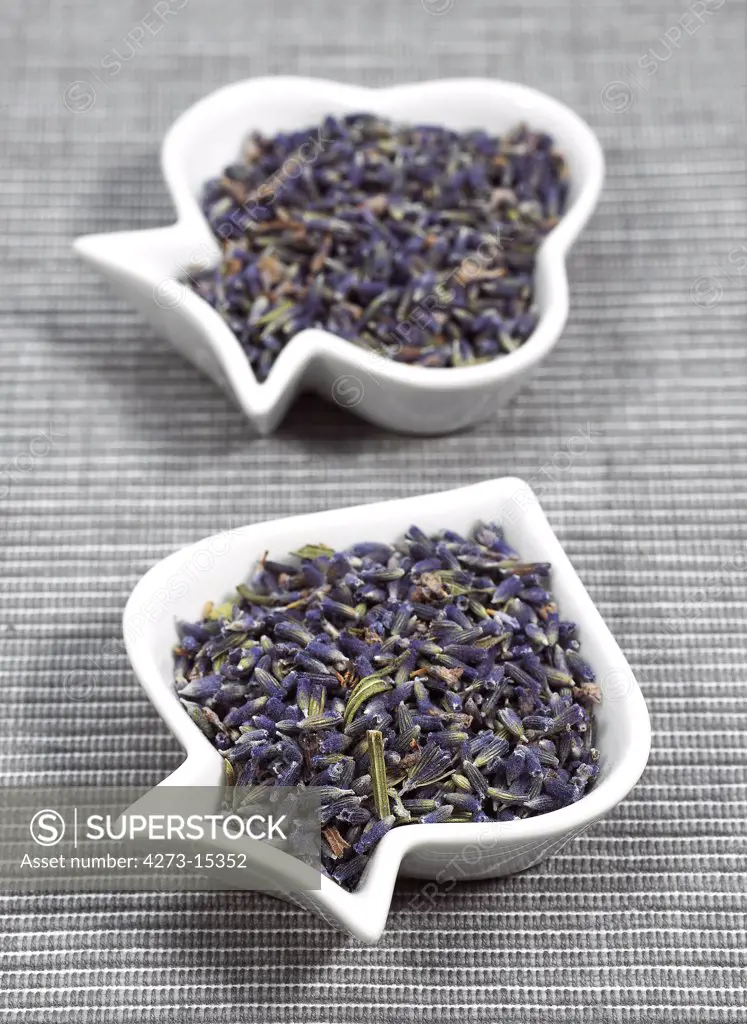 Lavender, lavandula sp, Dry Seeds